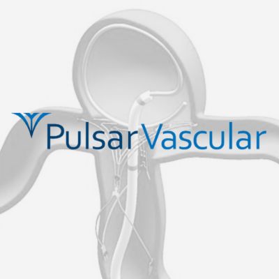 Pulsar Vascular